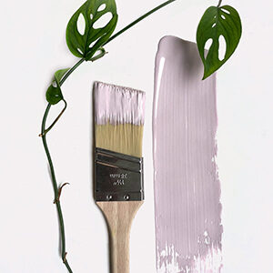Miller Paint 2022 Color of the Year - Desiree